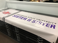 Sister to Sister  Printed Banner.jpg